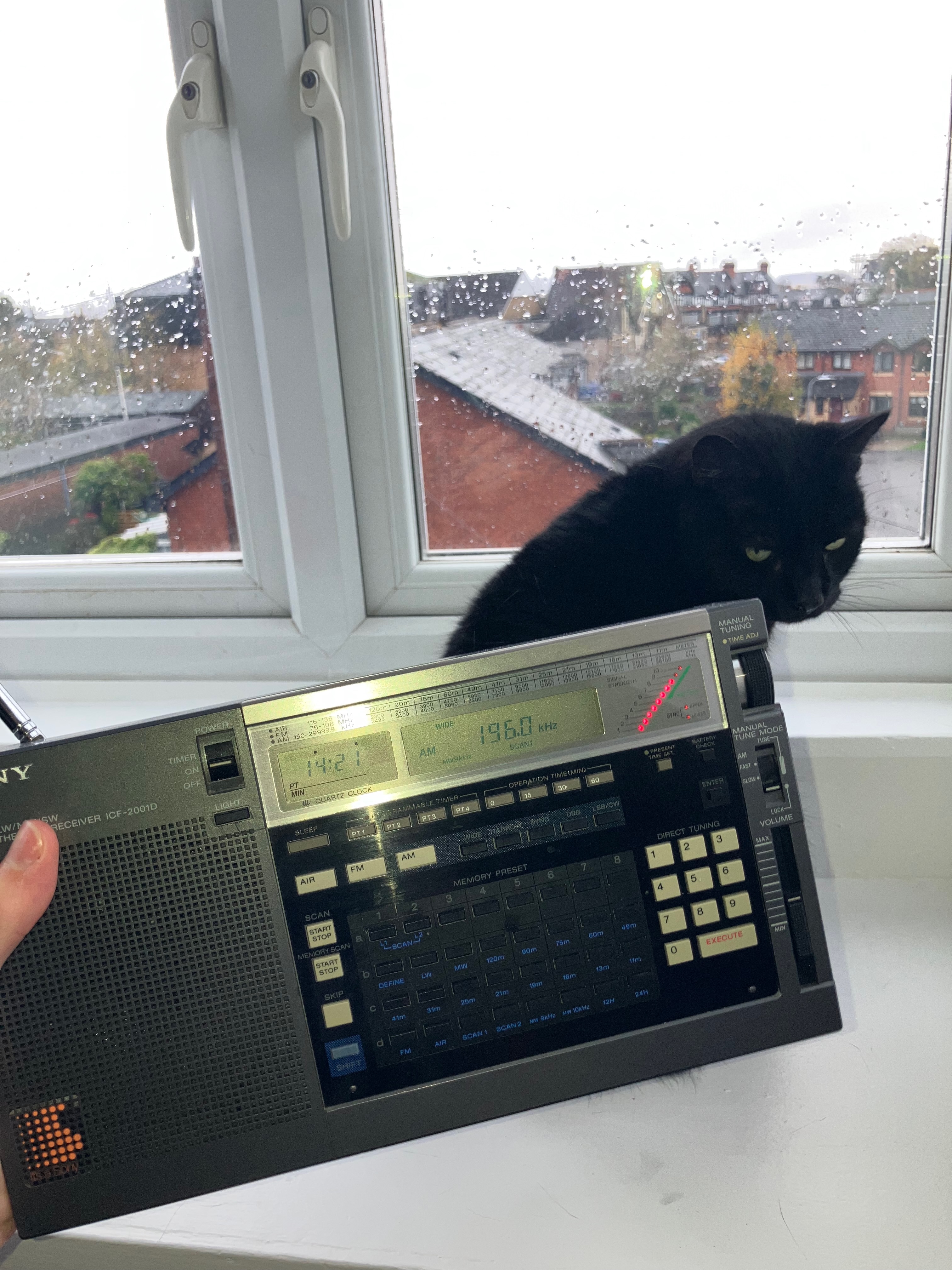 Sony ICF-2001d and cat